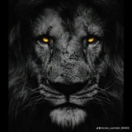 ���� ������, ���������, 35 ��� - ��������� 26 ��� 2026