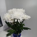 ���� ����, ������, 41 ��� - ��������� 22 ������� 2026 � ������ ���� ����������