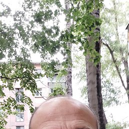 , 50, 