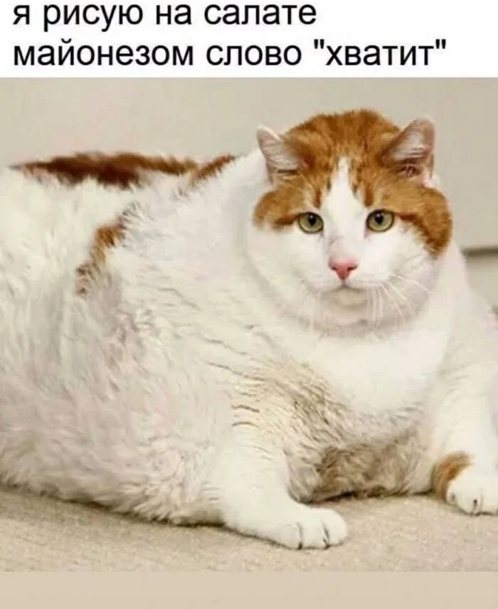 ���� ��� ���� - 11 ������ 2026 � 19:32
