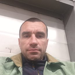 , 41 , 