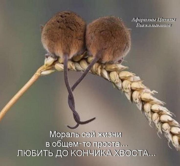 :)