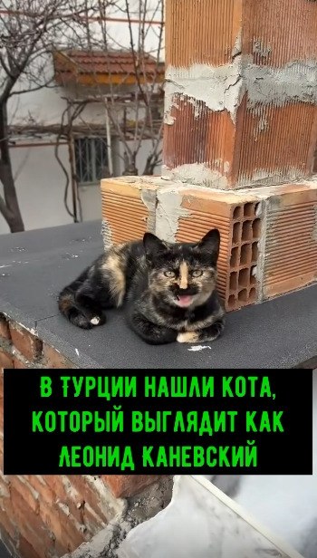 � ������ ����� ����, ������� �������� ��� ������ ���������. �����������, �� ��� ������������� ... - 2