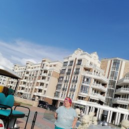 , 61, 