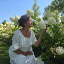 ���� ������ �������, �����-���������, 65 ��� - ��������� 5 ����� 2026