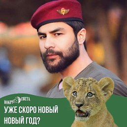 Erkin, �����, 35 ���