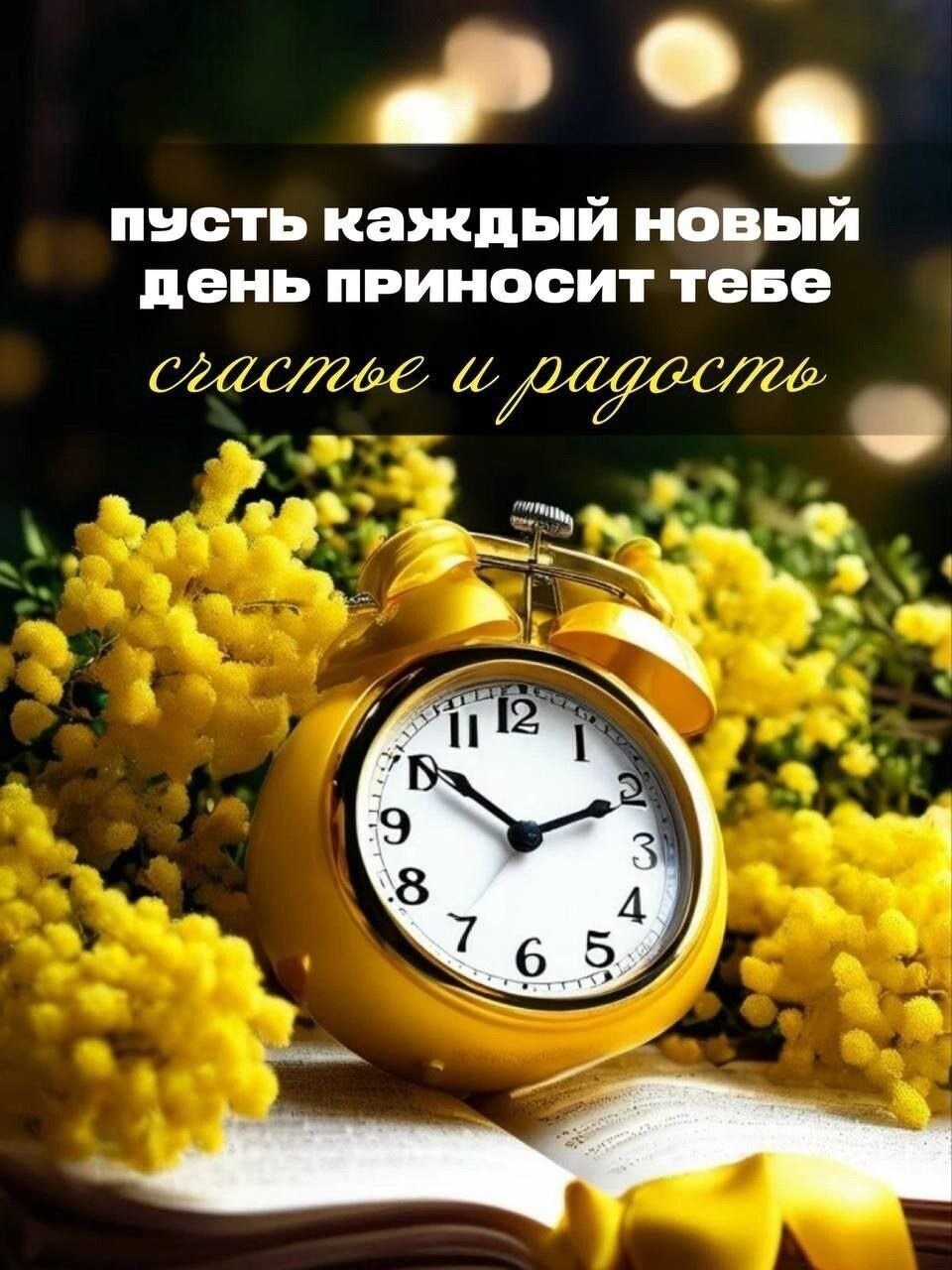    ,    .    ,  ...