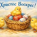 ���� M I A, ������� - ��������� 12 ������ 2026 � ������ ������ ��������