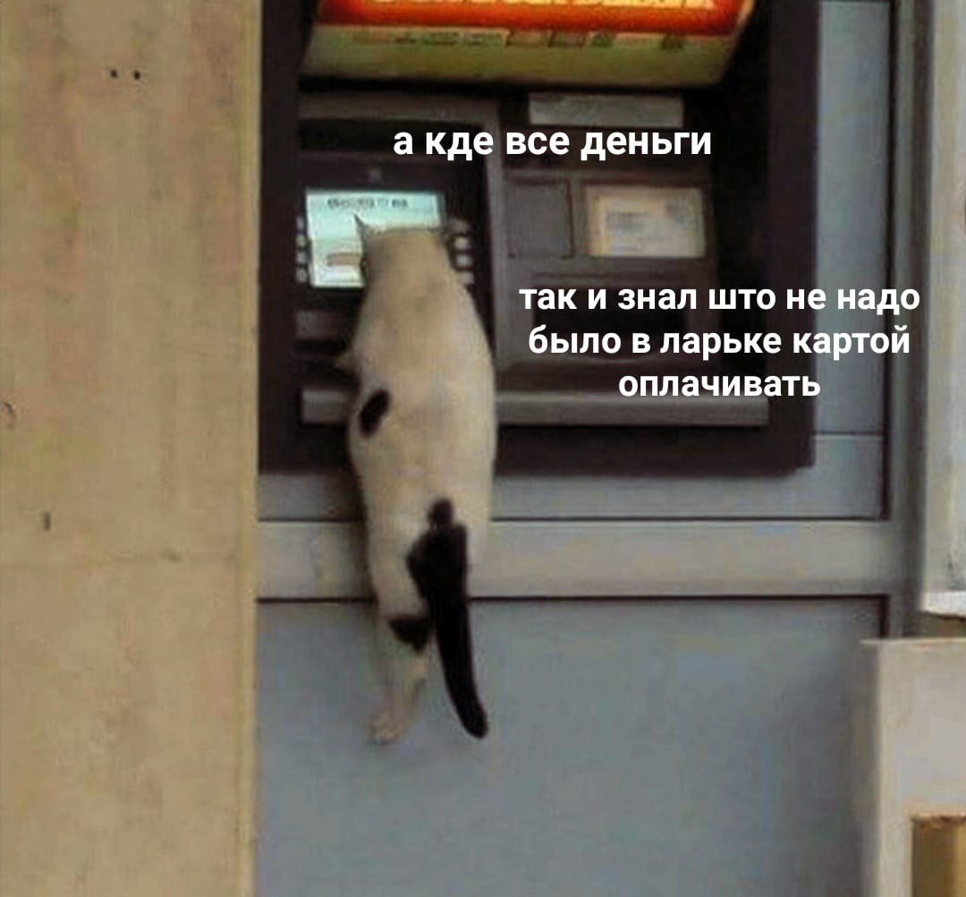    - 30  2024  02:31