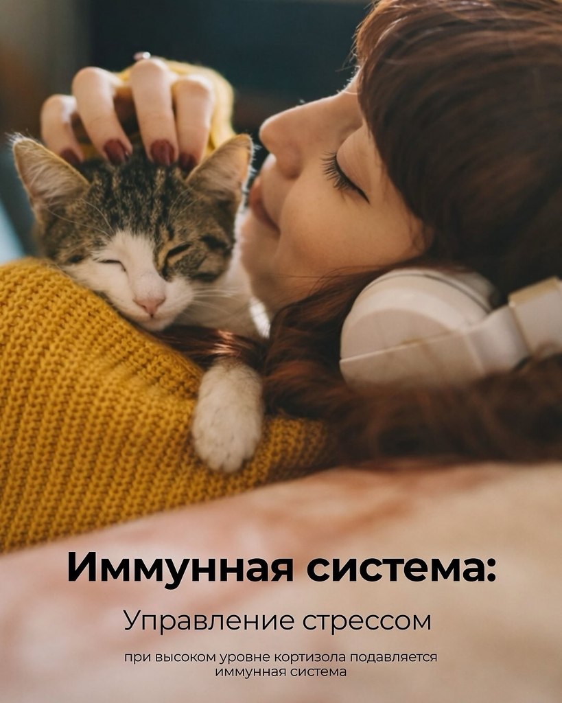 ��� ������� ���������� ������ ����� � ������� ������ ����. ����� ������ ������� ������, ������� ... - 5