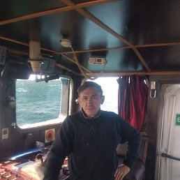 , 54, 