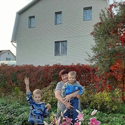 �������, ������, 66 ���