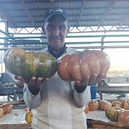 ����, 58 ���, �����������