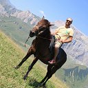 ���� Sha, ������ - ��������� 29 ������� 2024