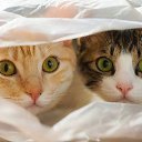  Valentina,  -  17  2025    