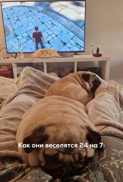 ������, ��� ��� ��... - 5