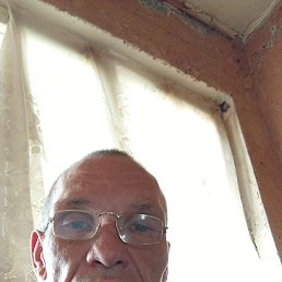 , 56, 