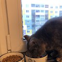 ���� ���������, �����, 57 ��� - ��������� 5 ����� 2025 � ������ ���� ����������