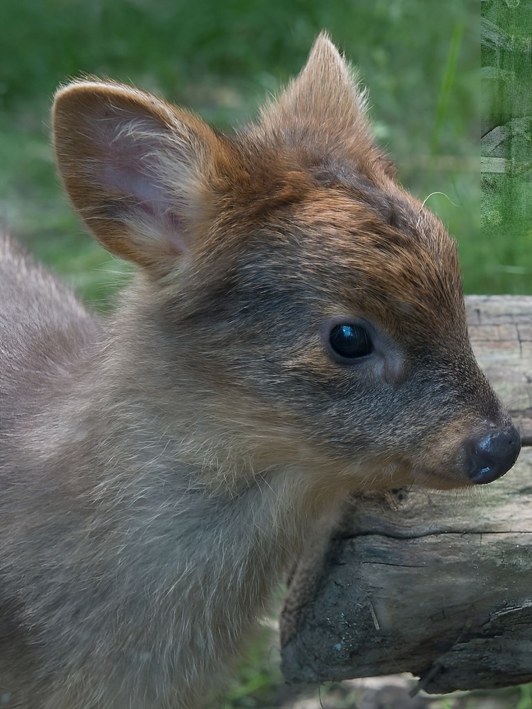   -     .  3     . - 2