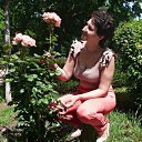 ���� ������ ��������, ��������, 64 ���� - ��������� 13 �������� 2025 � ������ ���� ����������