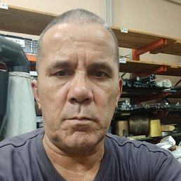 , 61, 