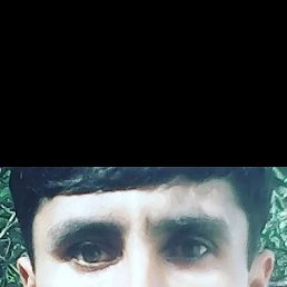 ������, 36 ���, ���������