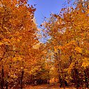���� ��������, �����������, 33 ���� - ��������� 7 �������� 2026 � ������ ������ ��������