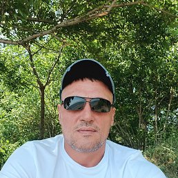 , 41, 