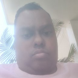 Vivek, ����, 85 ���