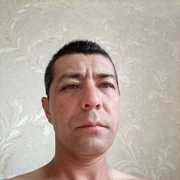 , 39, 