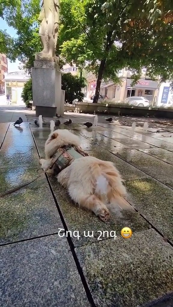       ?)