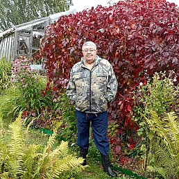 �������� Ѹ����, ������, 68 ���