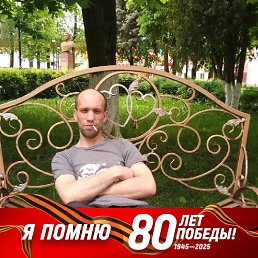 ������� �����, 41 ���, ���������