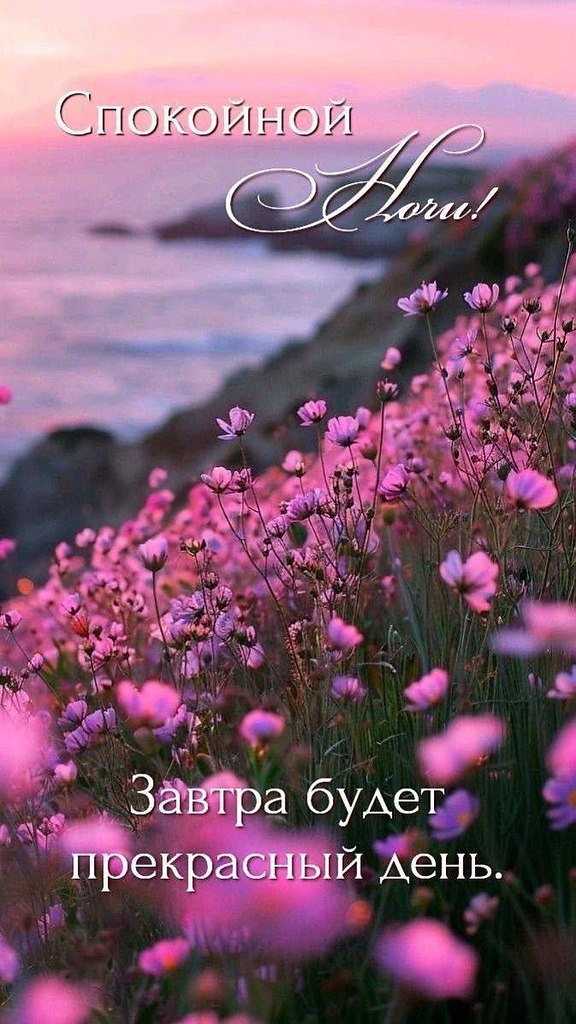   ,    . - 1  2025  21:47 - 4