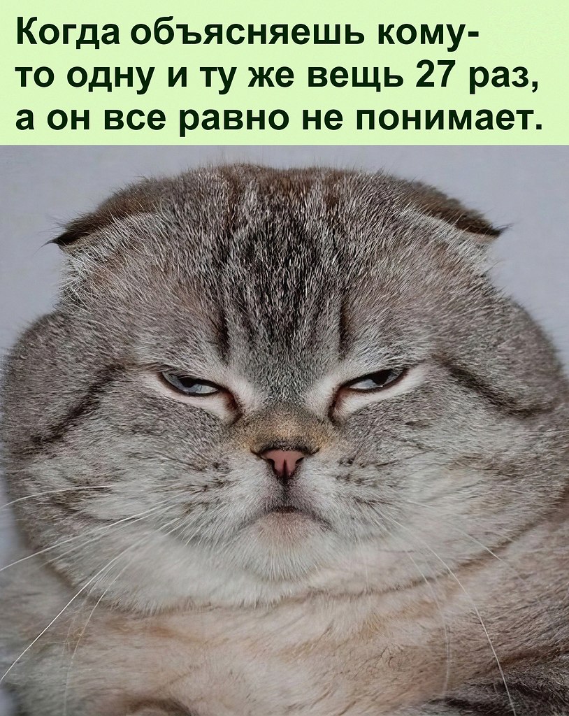   :D - 10  2023  12:54