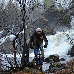 ���� Snow Leopard, ���������, 67 ��� - ��������� 8 ������ 2026