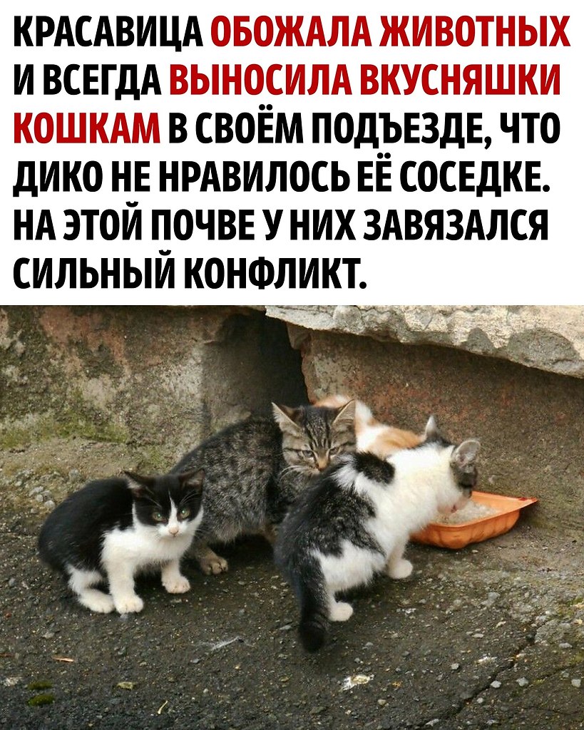    - 2