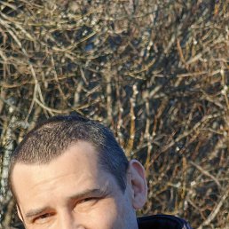 ����, �����-���������, 45 ���