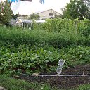 ���� �����, �������� - ��������� 26 ���� 2025 � ������ ������� 2025�