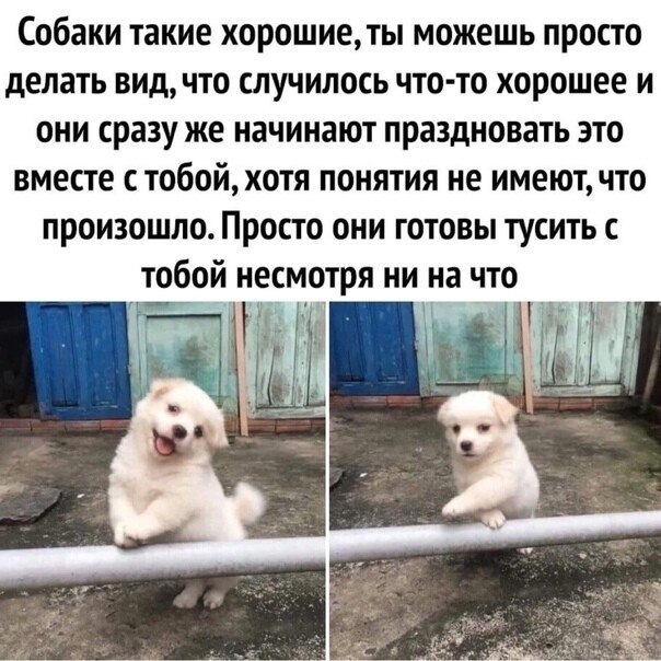    - 30  2024  14:42