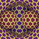 ���� �����, ������, 51 ��� - ��������� 6 ������� 2025 � ������ ���� ����������