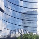 ���� Grig, �����������, 47 ��� - ��������� 4 ������ 2024 � ������ ���� ����������