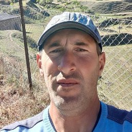, 39, 
