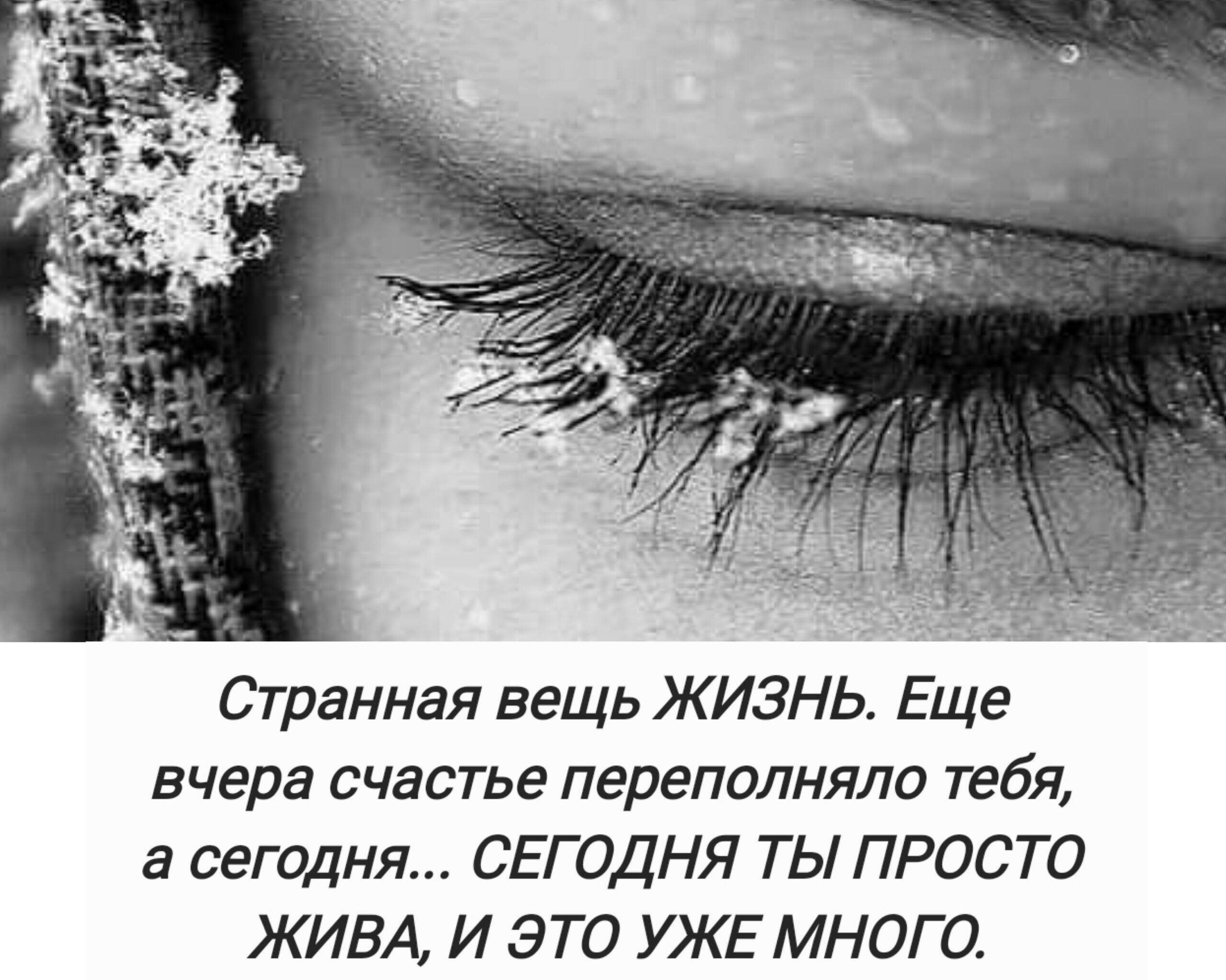 ***Victoria Viktorovna*** - 7  2024  09:45