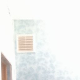 , 41, 
