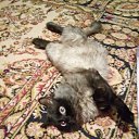 ���� ����, ������� - ��������� 5 ������� 2025 � ������ ������ ��������