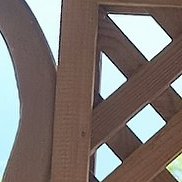 �����, 55 ���, ������