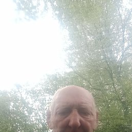 , 70, 