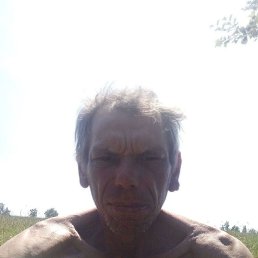 , 48, 