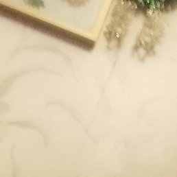 ���� �����, �����-���������, 31 ���